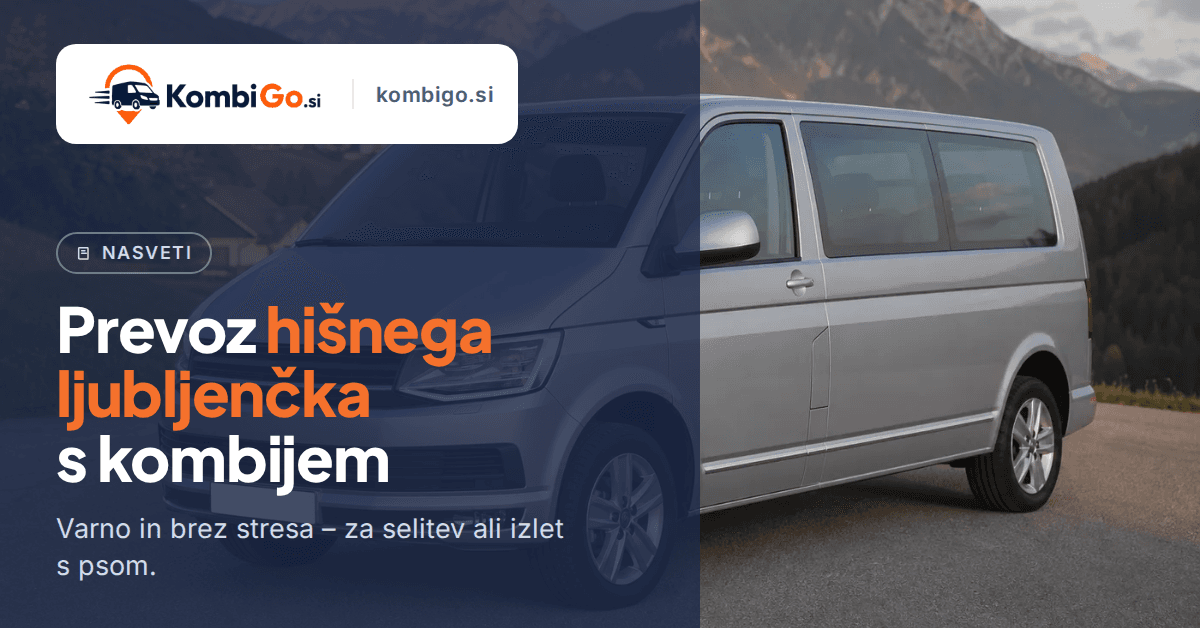 Prevoz psa ali mačke v najetem kombiju: nasveti